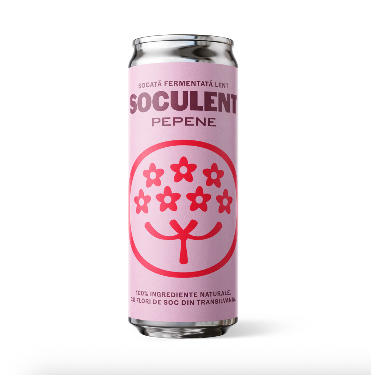 Socata Fermentata Lent cu Pepene
